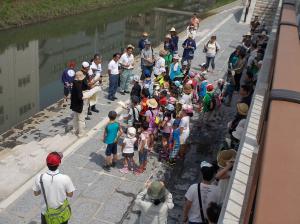 夏のイベントの開会式の写真