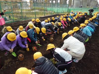 どんぐり植樹の画像1