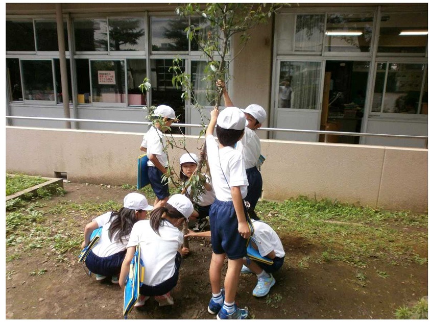 新曽小学校活動写真