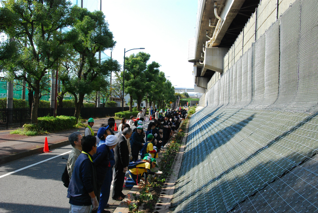 緑の外環道事業緑地の植え付け風景写真１