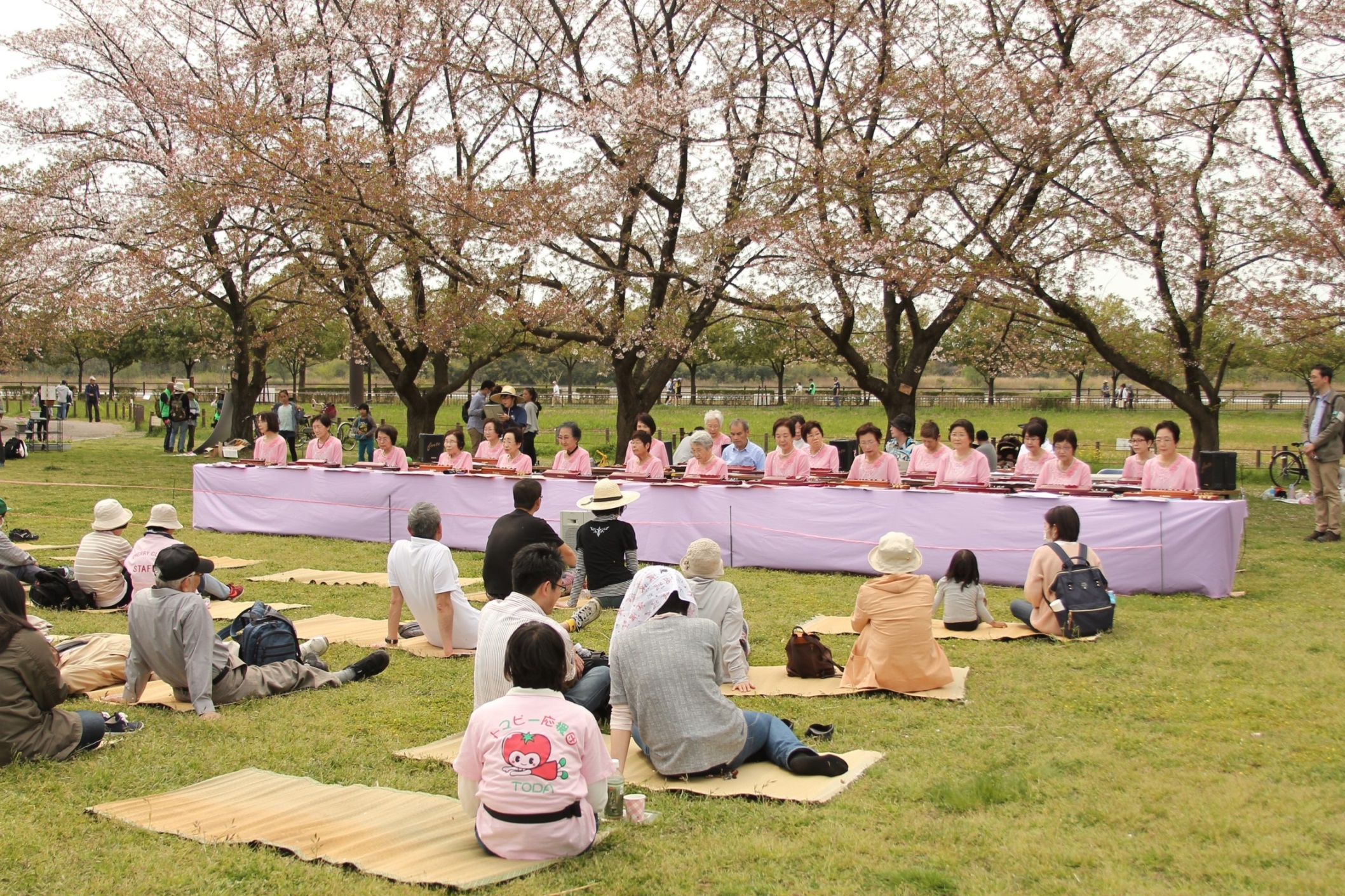 大正琴の演奏風景の写真