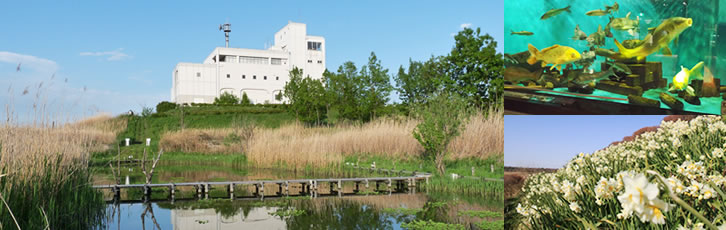 彩湖自然学習センターのイメージ画像